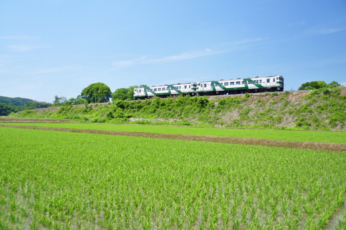 撮影・烏山線・小塙