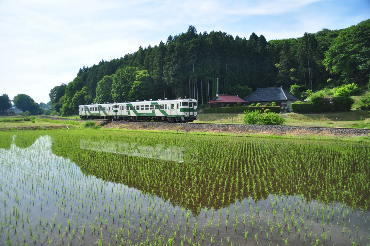 撮影・烏山線・鴻野山－大金