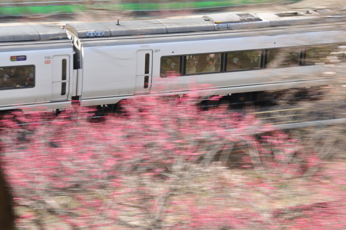 常磐線・偕楽園・梅