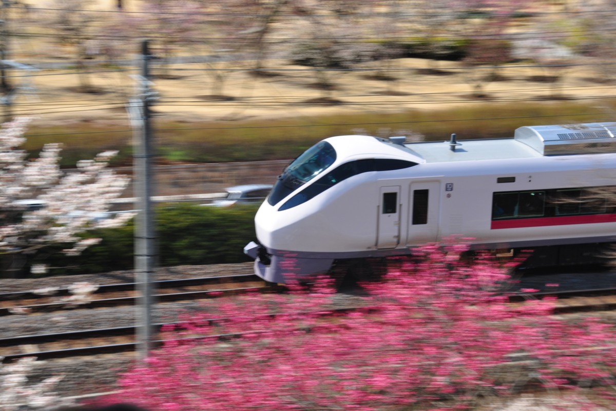 常磐線・偕楽園・梅