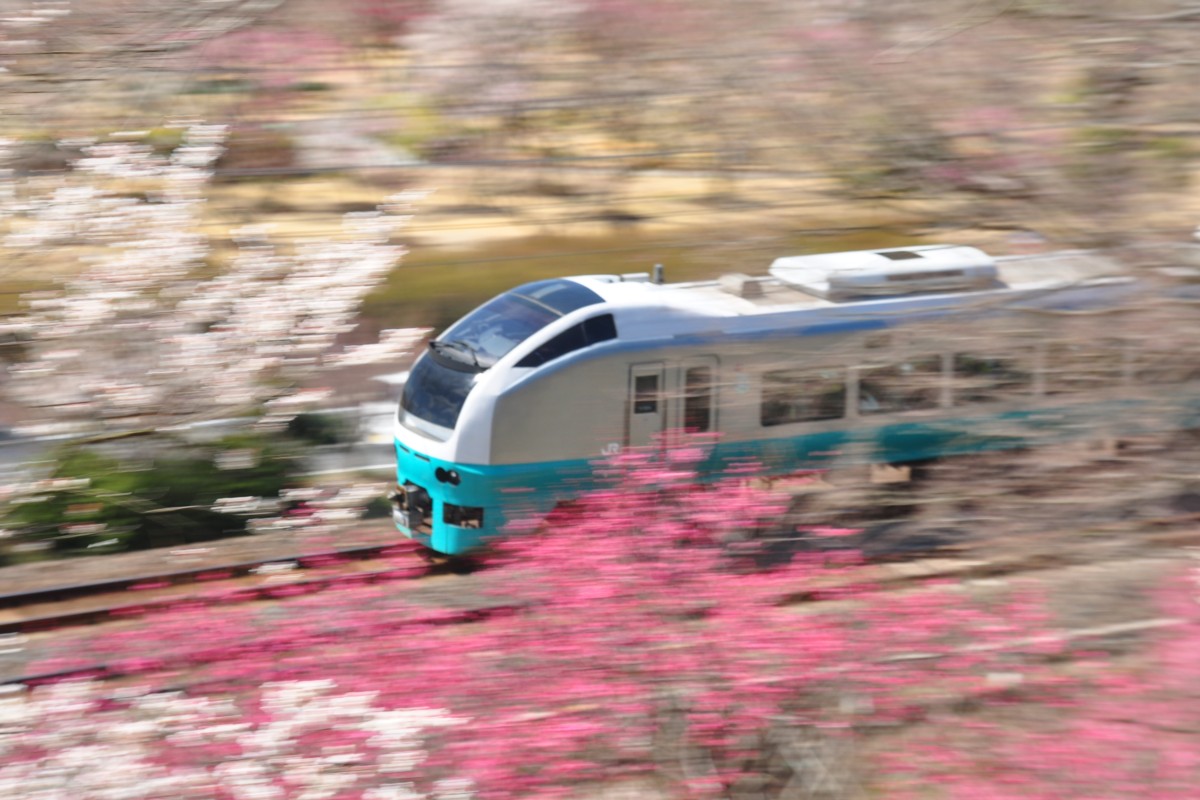 常磐線・偕楽園・梅