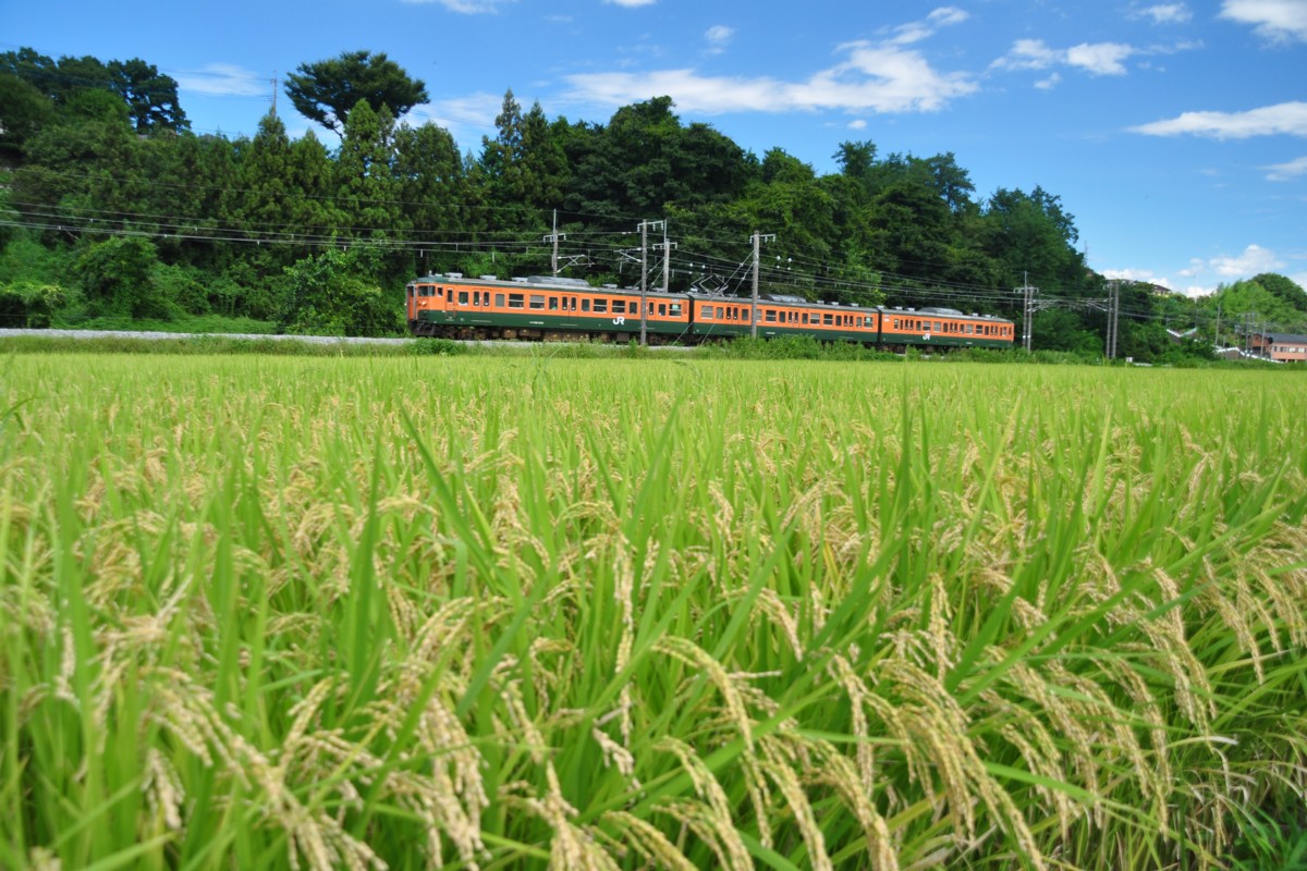 信越本線・群馬八幡－安中