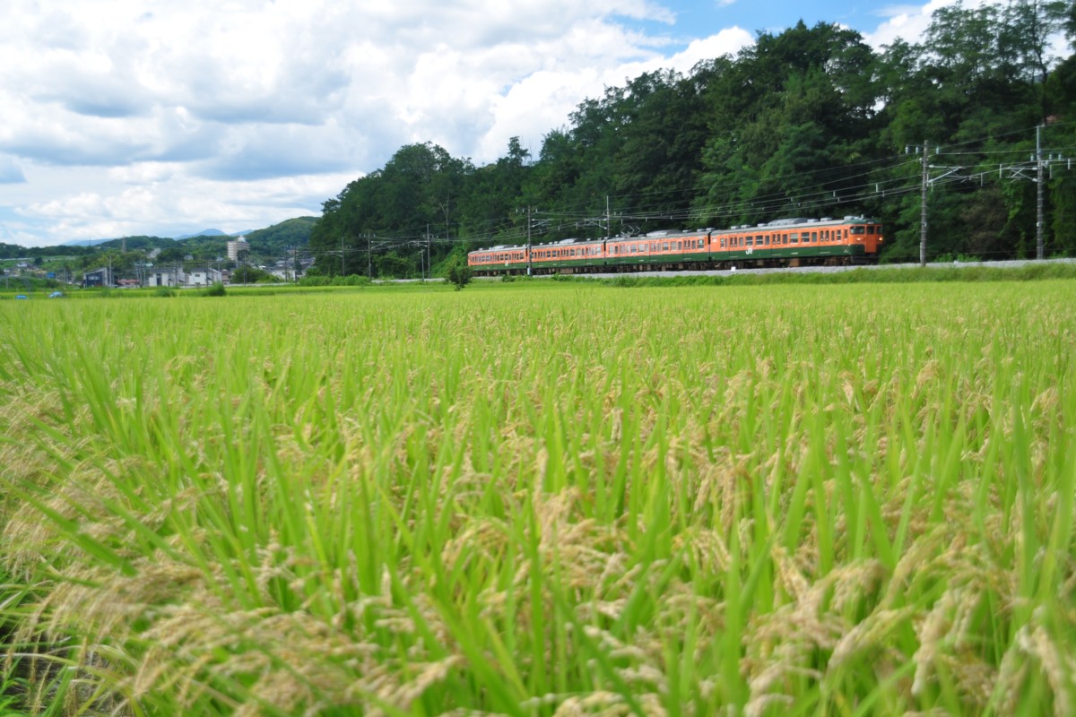 信越本線・群馬八幡－安中