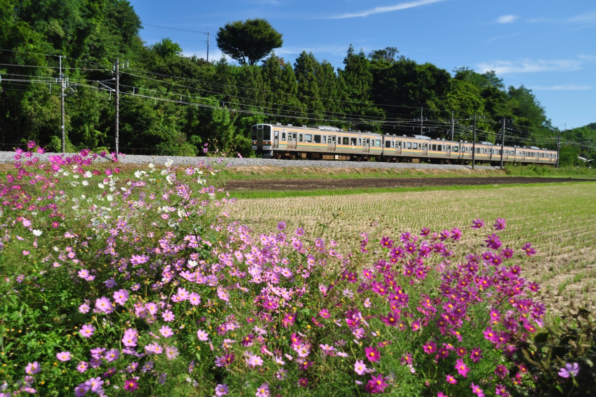 信越本線・群馬八幡－安中