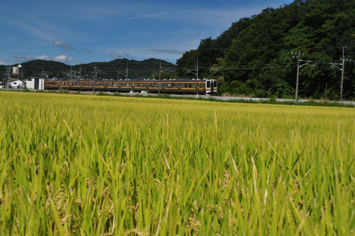 信越本線・群馬八幡－安中