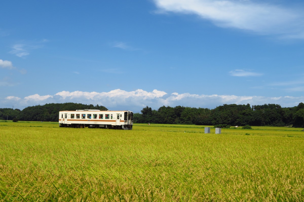 ひたちなか海浜鉄道湊線・中根