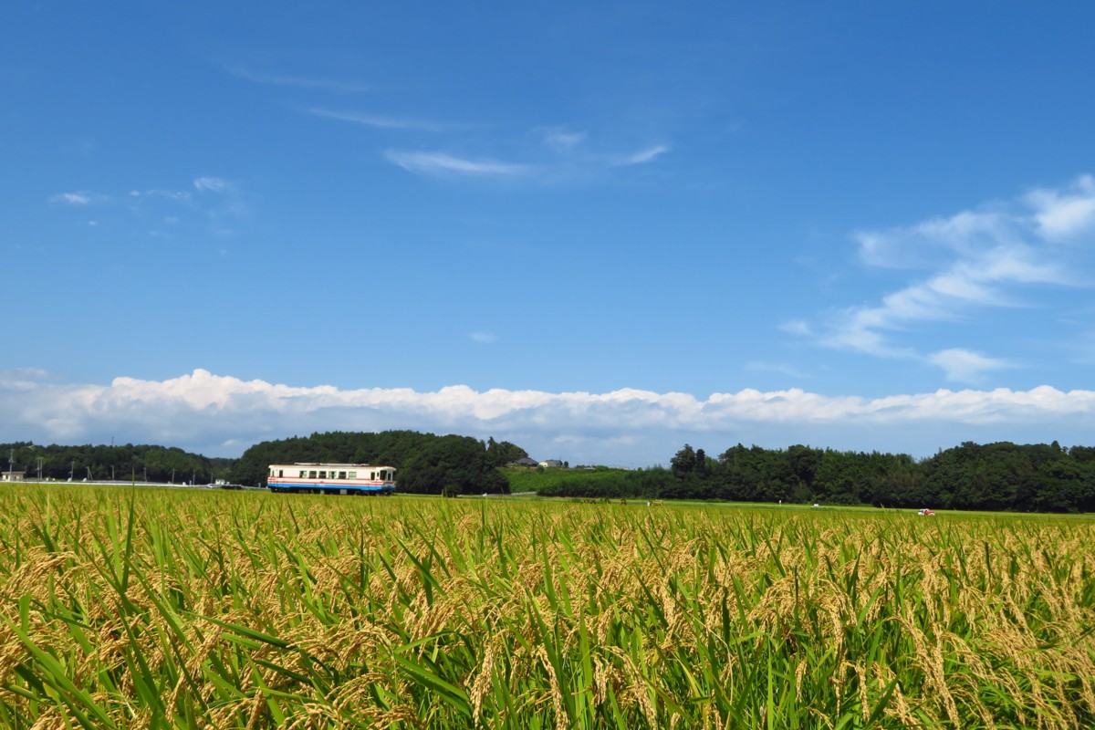 ひたちなか海浜鉄道湊線・中根