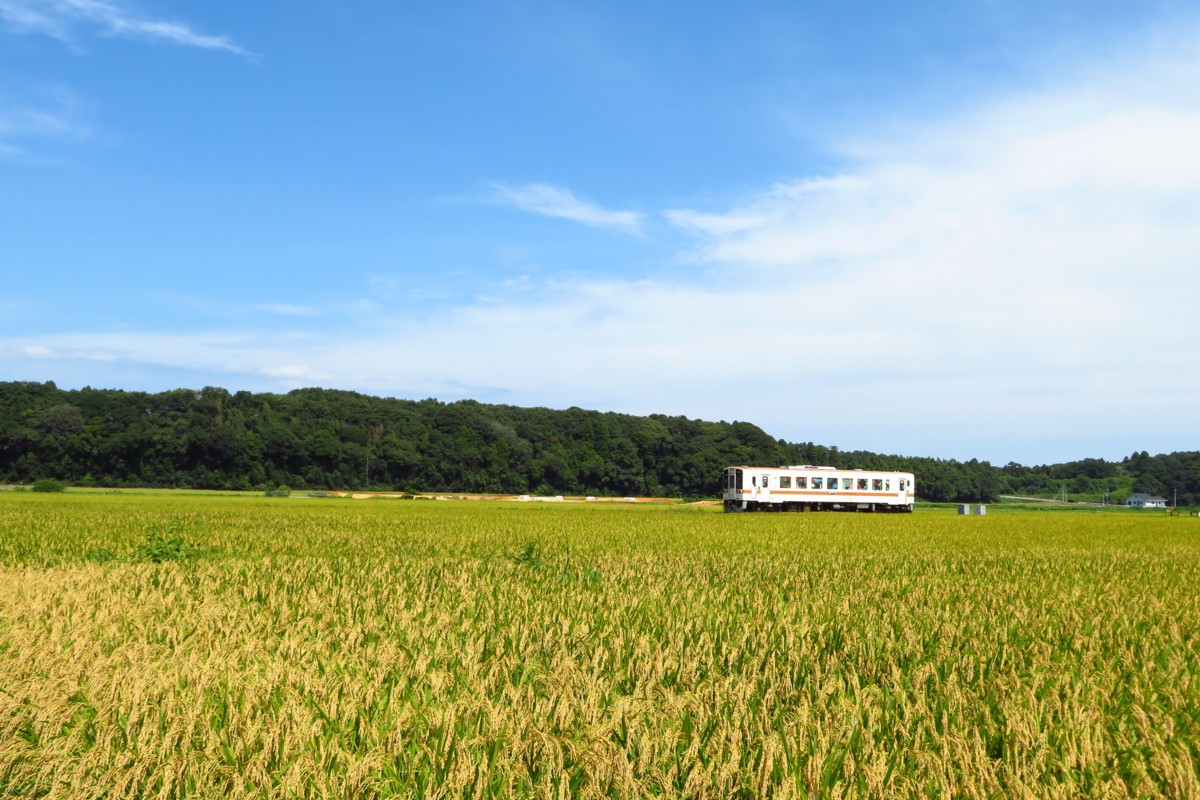 ひたちなか海浜鉄道湊線・中根