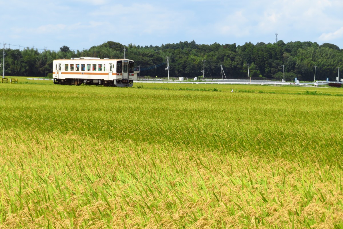 ひたちなか海浜鉄道湊線・中根
