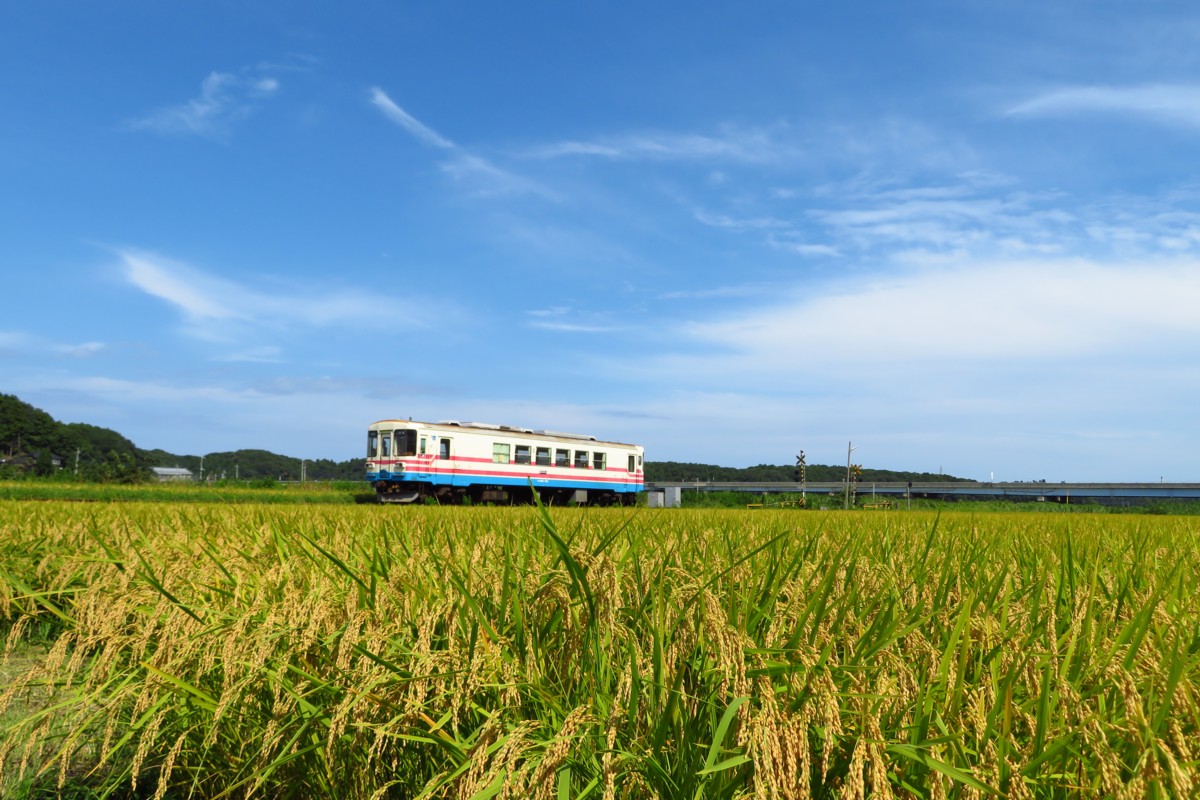 ひたちなか海浜鉄道湊線・中根
