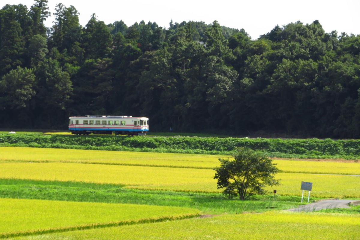 ひたちなか海浜鉄道湊線・中根
