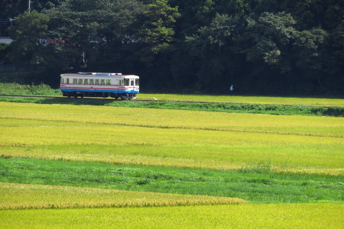 ひたちなか海浜鉄道湊線・中根