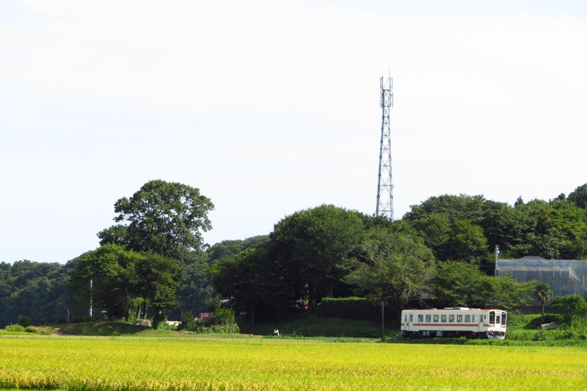 ひたちなか海浜鉄道湊線・中根