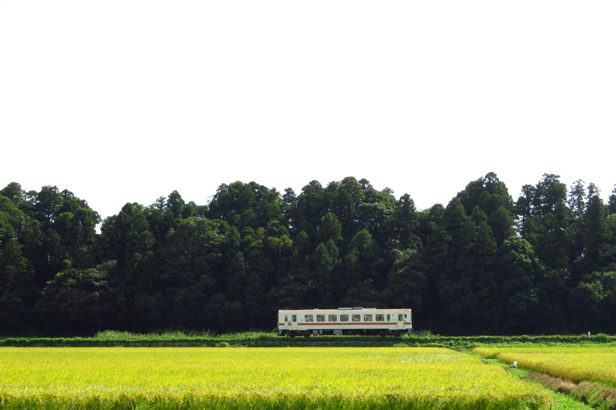ひたちなか海浜鉄道湊線・中根