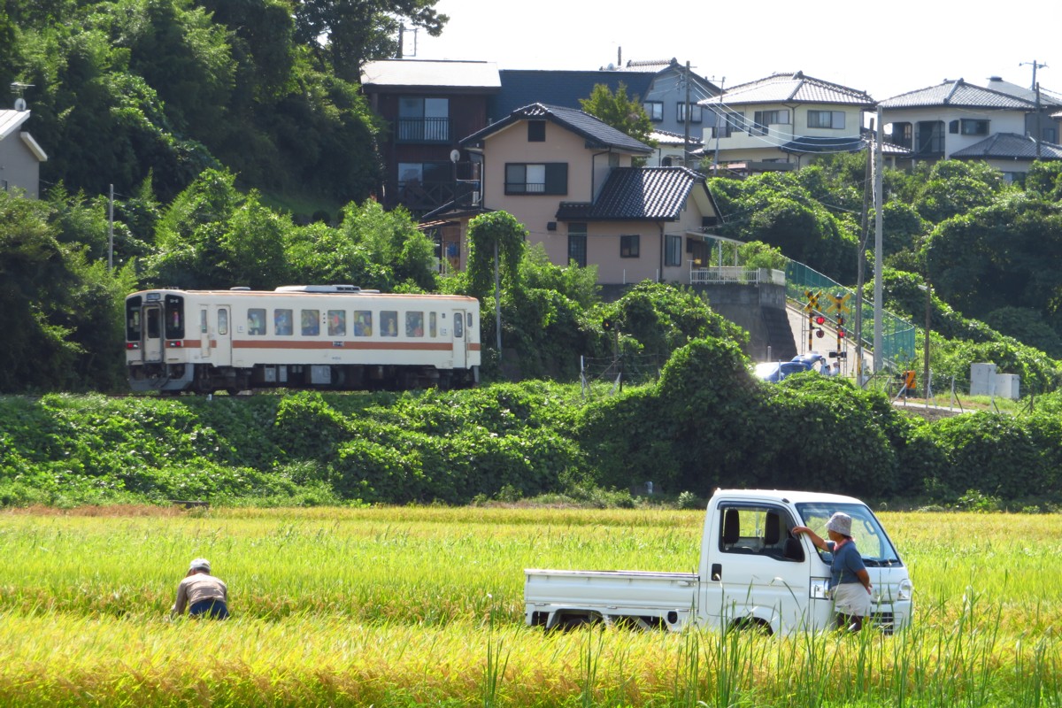 ひたちなか海浜鉄道湊線・中根
