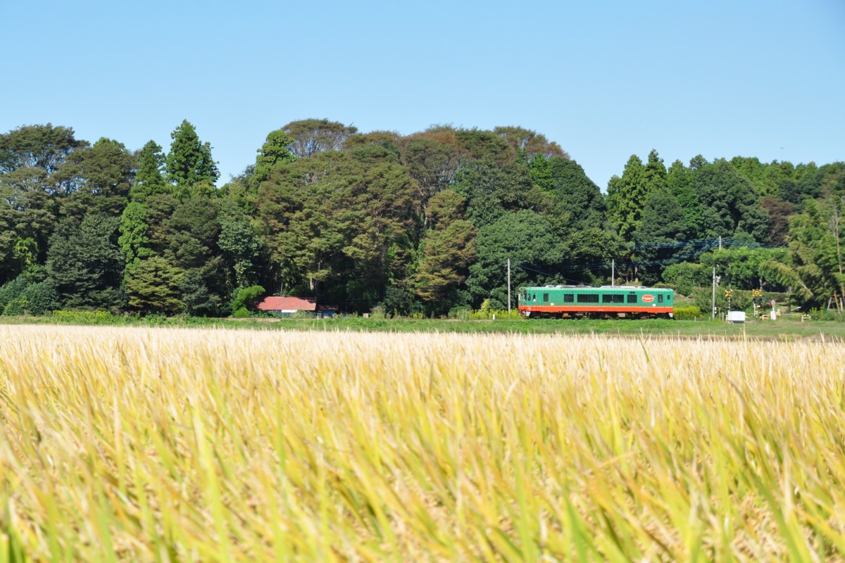 撮影・真岡鐡道・寺内－真岡