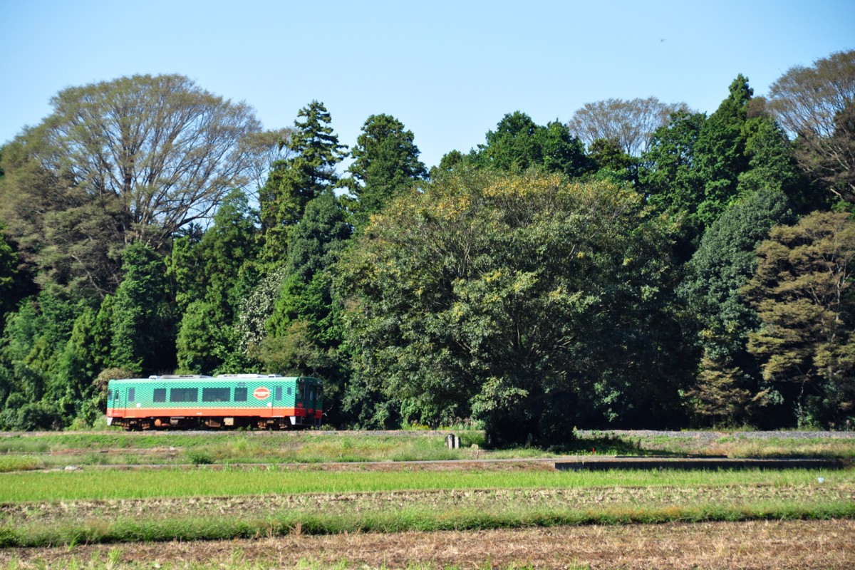 撮影・真岡鐡道・寺内－真岡