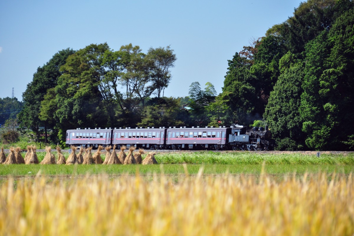 撮影・真岡鐡道・寺内－真岡