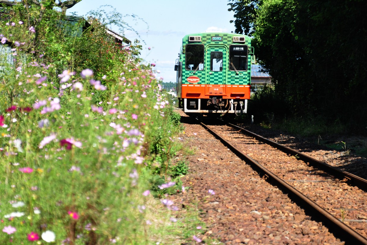 撮影・真岡鐡道・寺内