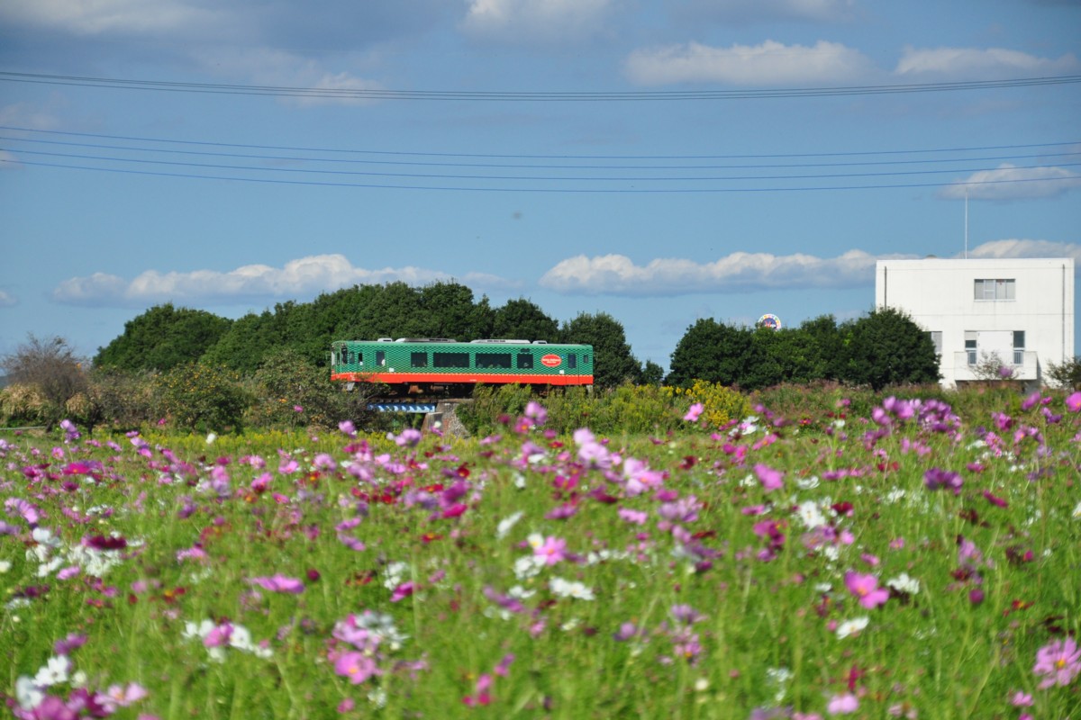 撮影・真岡鐡道・北山－益子