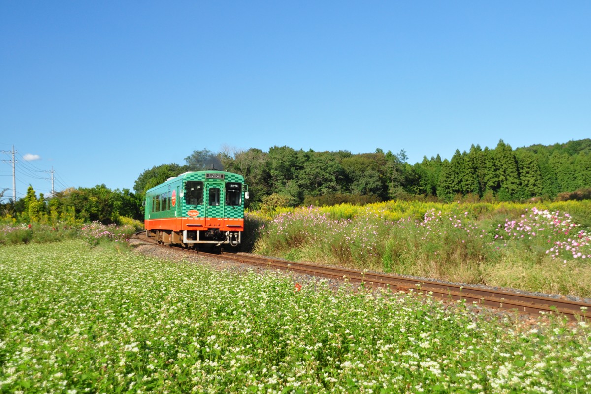 撮影・真岡鐡道・多田羅－市塙