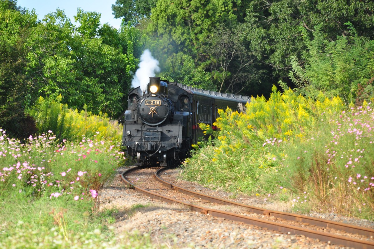撮影・真岡鐡道・多田羅－市塙