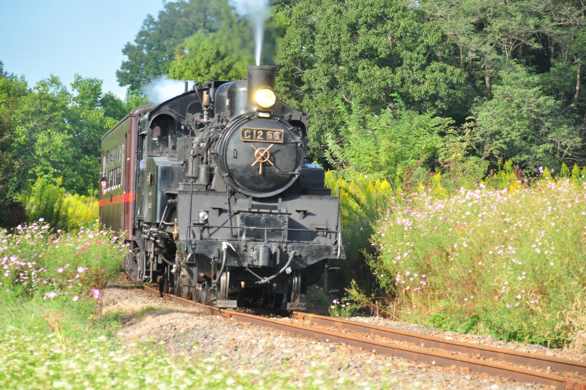 撮影・真岡鐡道・多田羅－市塙