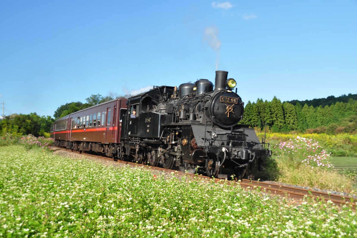 撮影・真岡鐡道・多田羅－市塙