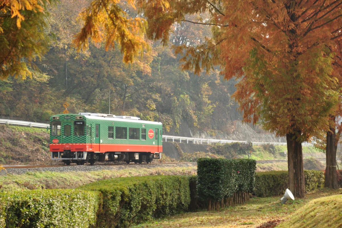 撮影・紅葉・真岡鐡道・天矢場－茂木