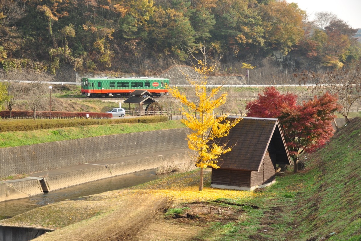 撮影・紅葉・真岡鐡道・天矢場－茂木