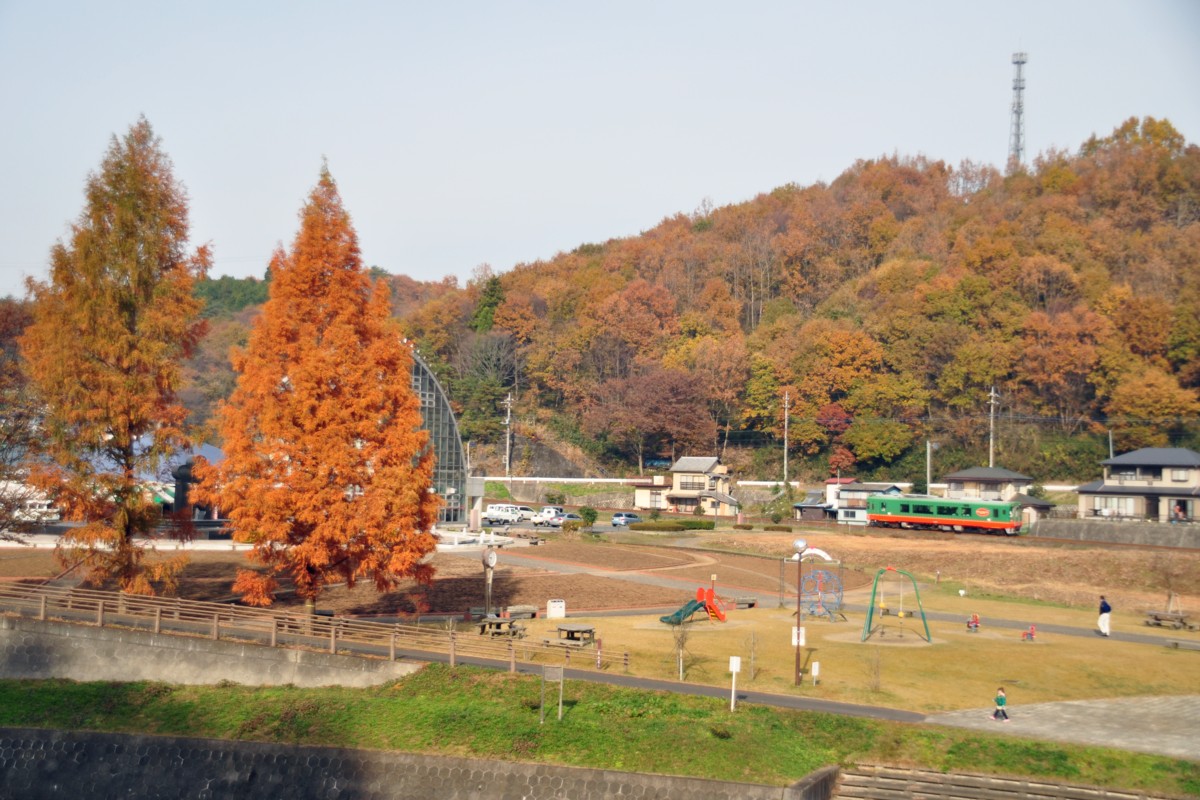 撮影・紅葉・真岡鐡道・天矢場－茂木