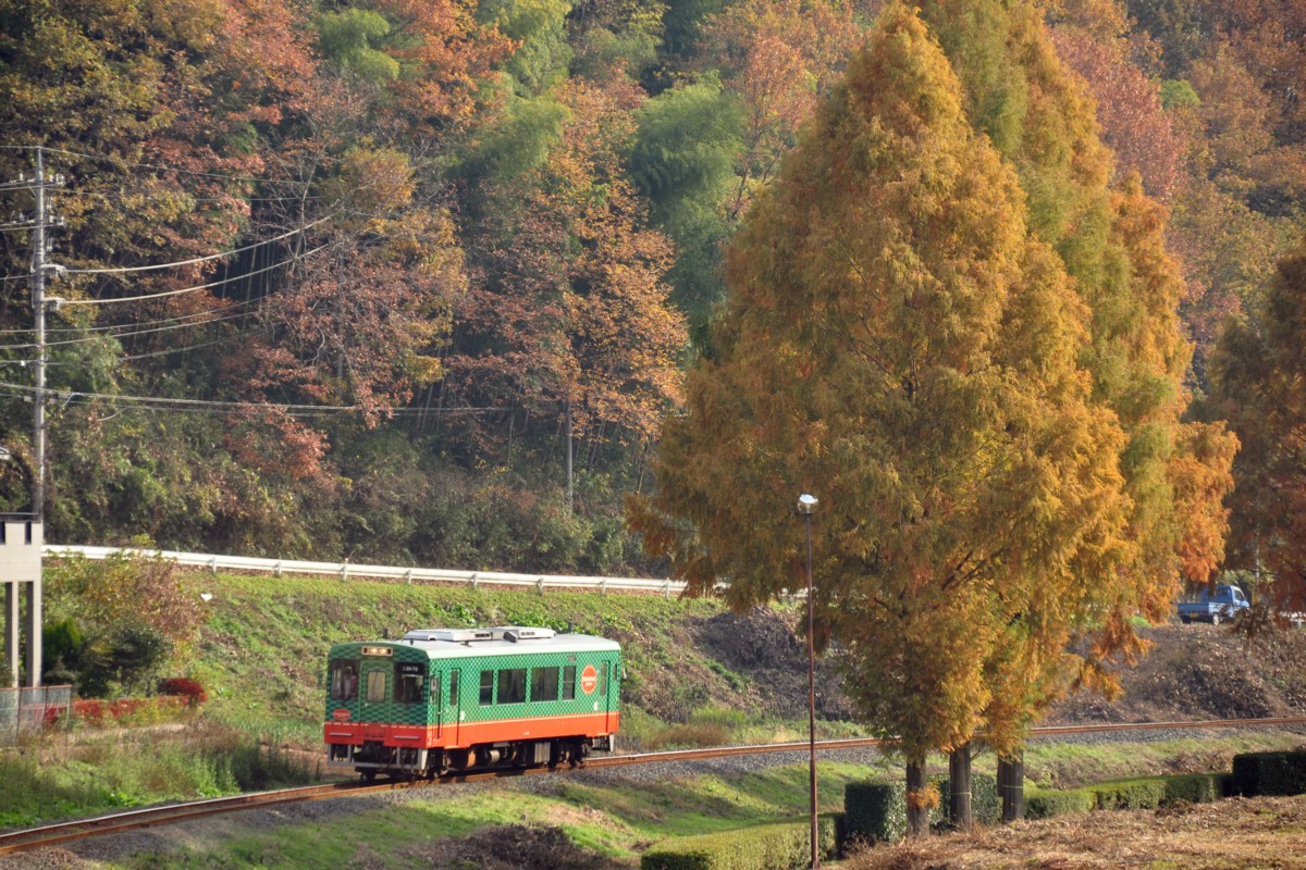 撮影・紅葉・真岡鐡道・天矢場－茂木
