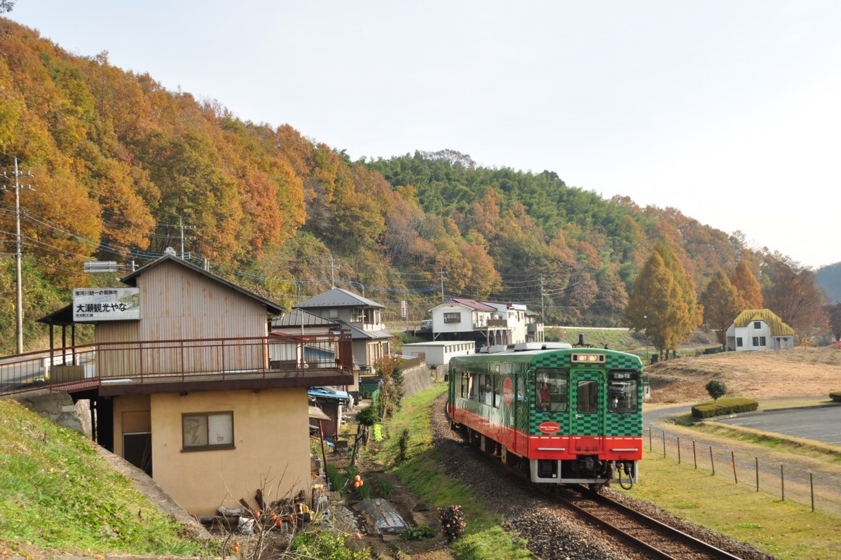 撮影・紅葉・真岡鐡道・天矢場－茂木