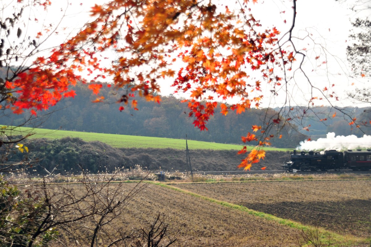 撮影・紅葉・真岡鐡道・市塙－笹原田