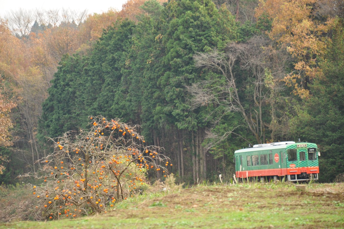撮影・紅葉・真岡鐡道・天矢場－茂木