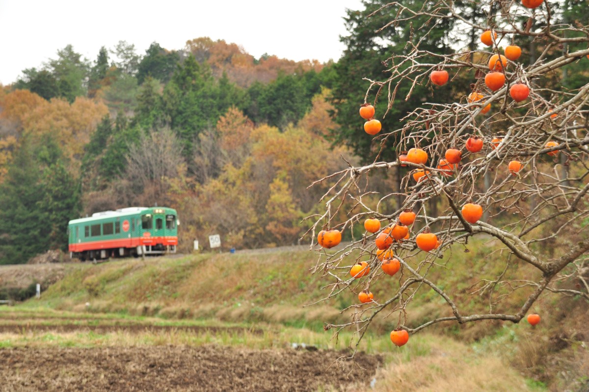 撮影・紅葉・真岡鐡道・天矢場－茂木