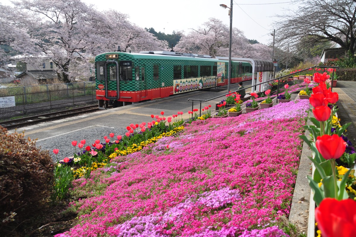 撮影・真岡鐡道・久下田