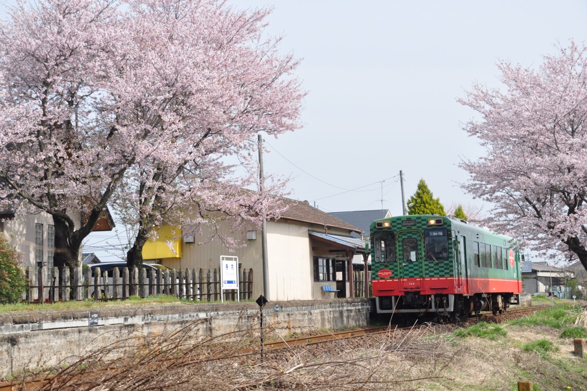 撮影・真岡鐡道・寺内