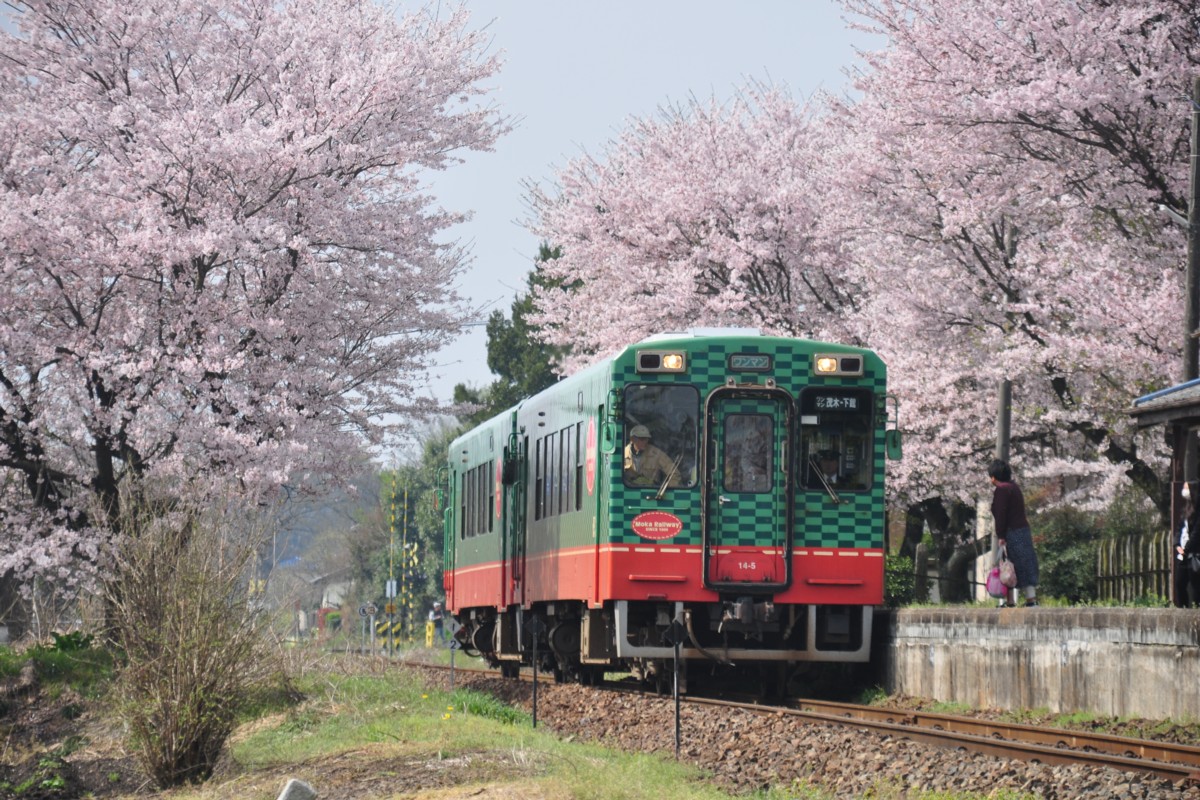 撮影・真岡鐡道・寺内