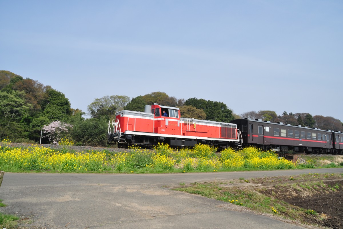 撮影・真岡鐡道・真岡－寺内