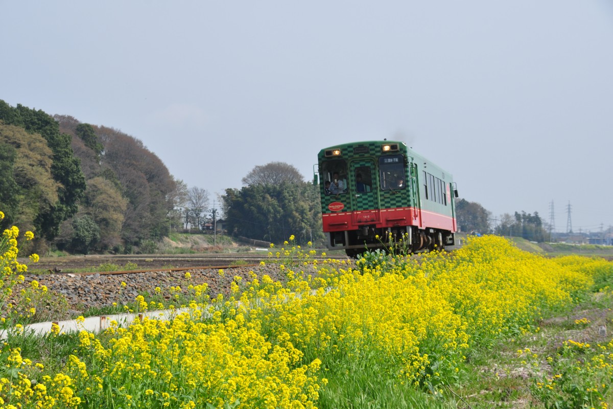 撮影・真岡鐡道・真岡－寺内