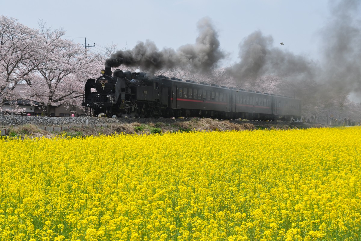 撮影・真岡鐡道・北真岡－西田井