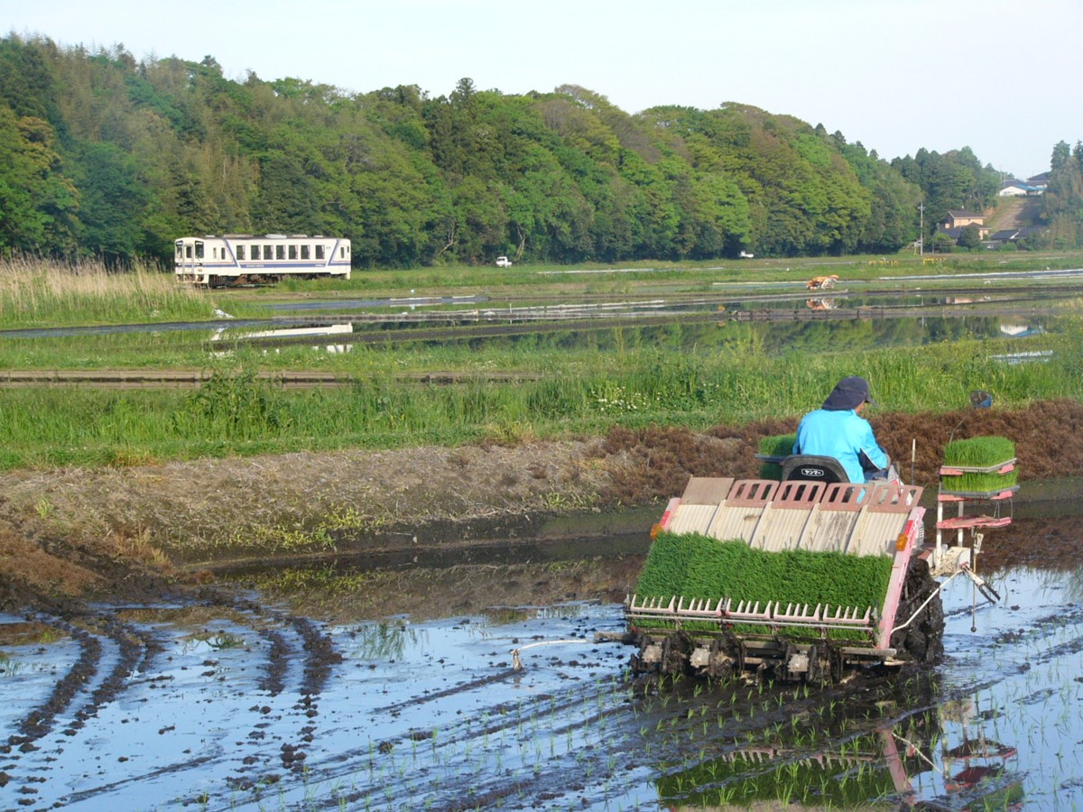 ひたちなか海浜鉄道湊線・中根