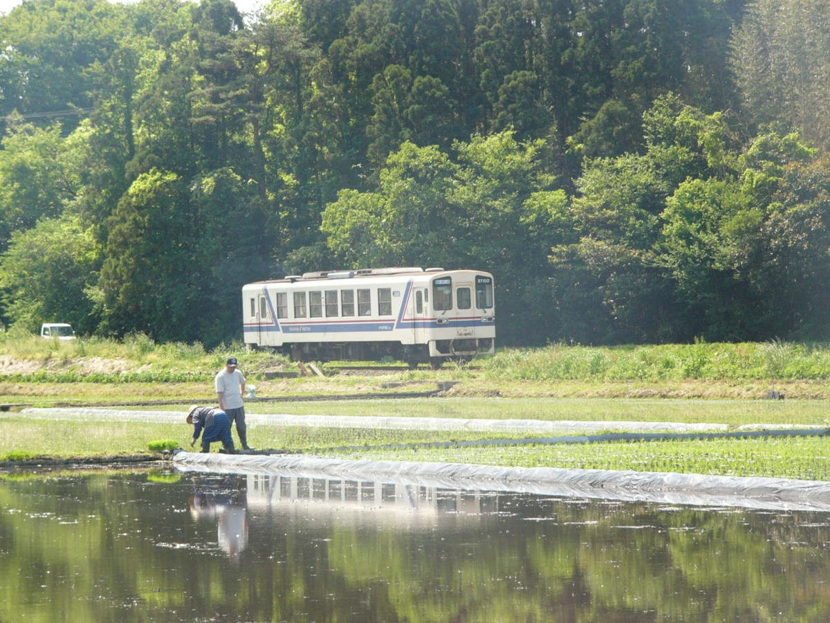 ひたちなか海浜鉄道湊線・中根