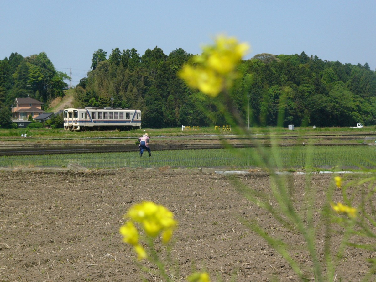 ひたちなか海浜鉄道湊線・中根