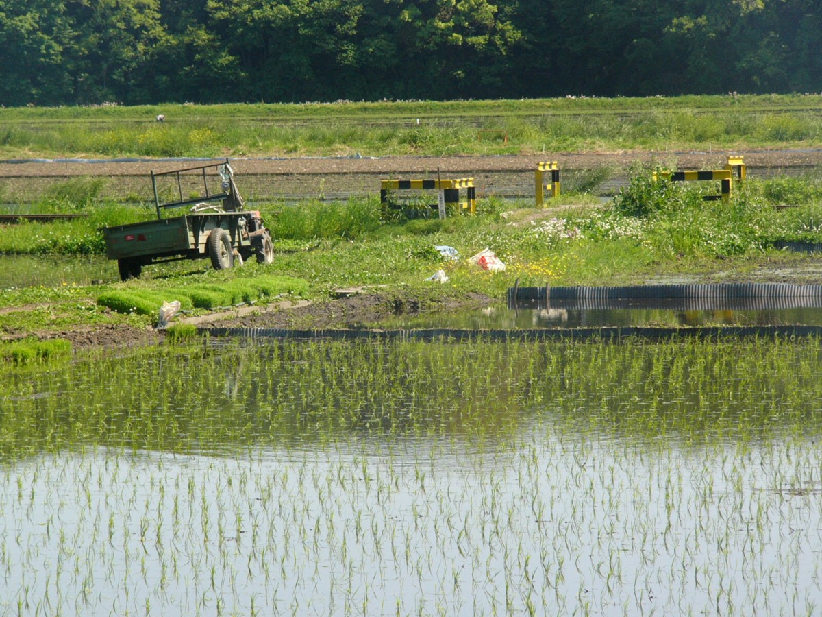 ひたちなか海浜鉄道湊線・中根