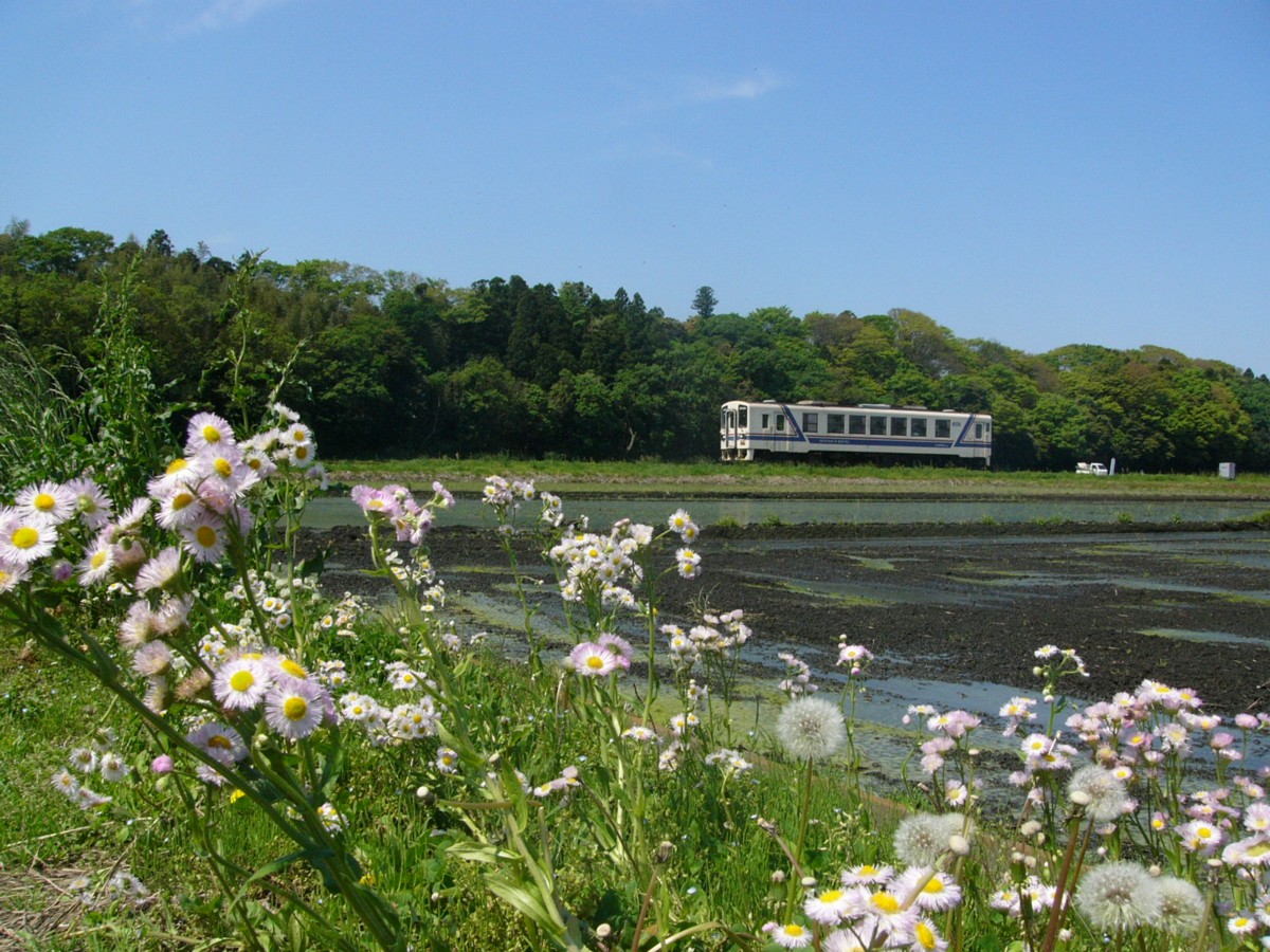 ひたちなか海浜鉄道湊線・中根