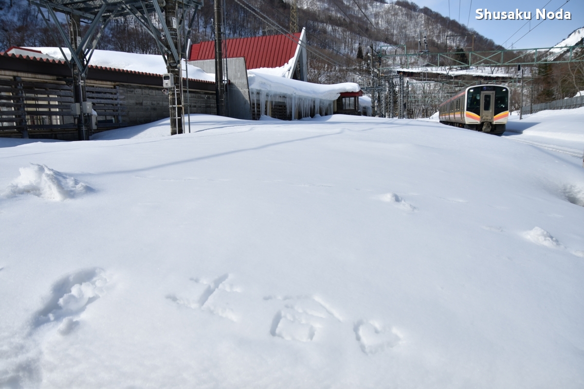 鉄道写真・雪景色・撮影地：上越線・土合