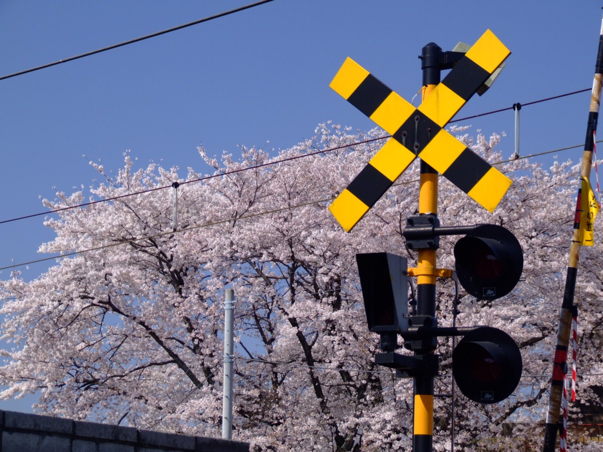 撮影・東武佐野線・田島－佐野市