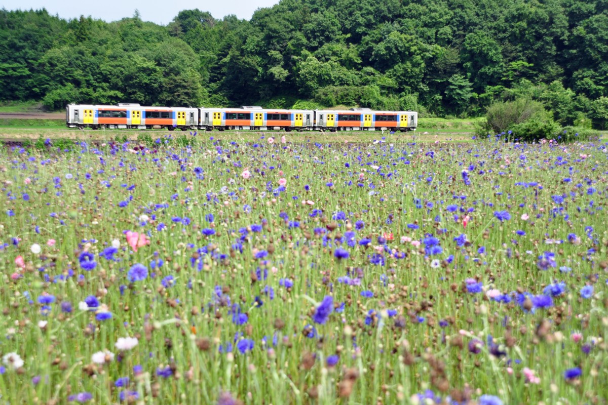 水郡線・玉川村－野上原